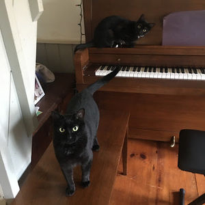 Meet your Posher, Sam